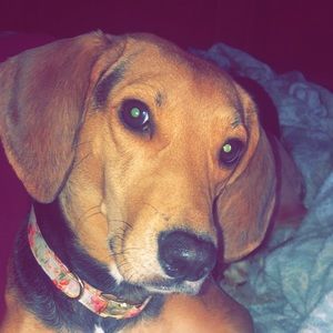 Meet your Posher, Destany